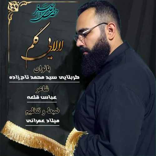 سید محمد تاج زاده لالایی گلم